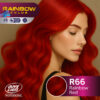 TINTE VISION COLOR R66 RAINBOW RED X 60ML