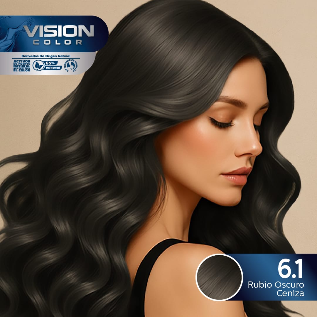 TINTES VISION COLOR TONOS CENIZAS E IRISADOS 6.1 RUBIO OSCURO CENIZA
