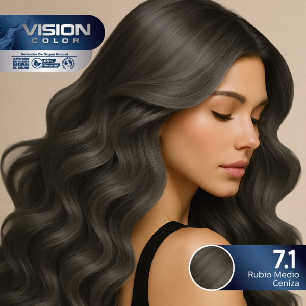 TINTES VISION COLOR NATURAL CENIZA 7.1 RUBIO MEDIO CENIZA